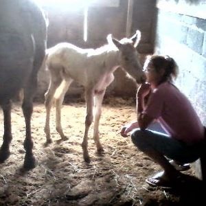 Meet your Posher, Victoria